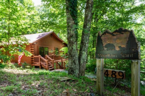 Mountain Spirit Cabin - Fireplace and Hot Tub